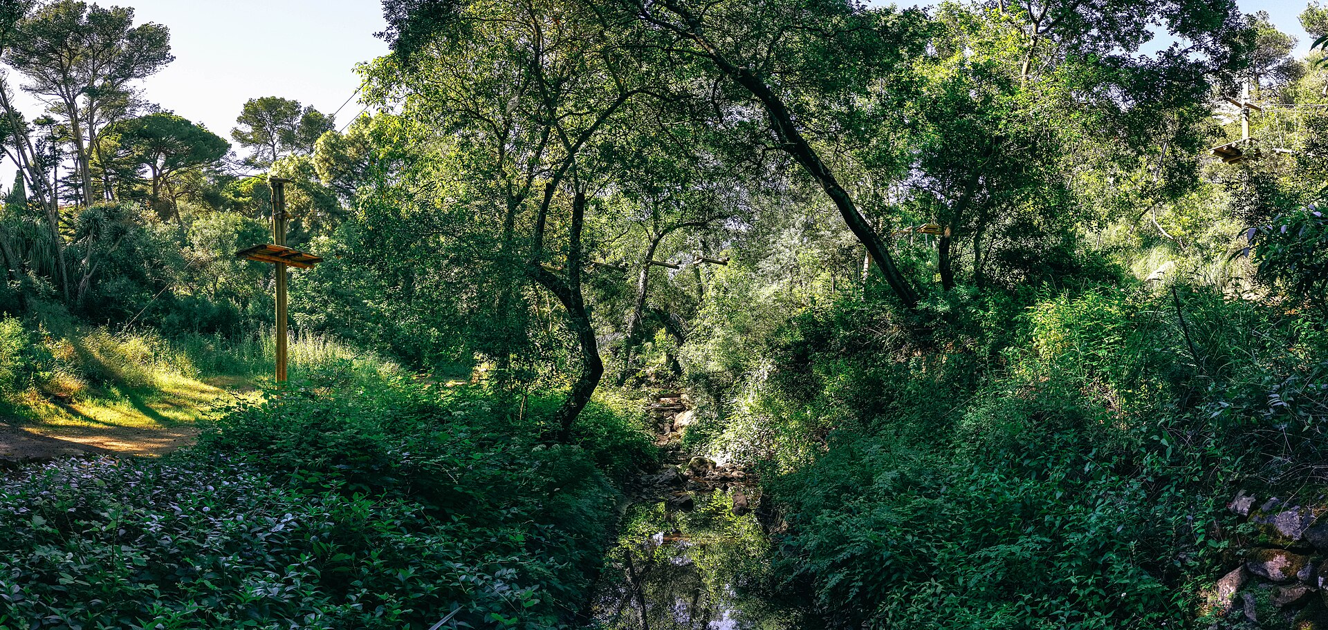 Parque Palmela