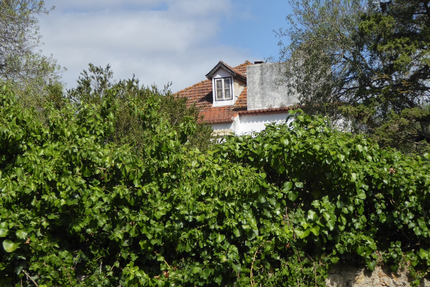 Parque Urbano da Quinta de Rana